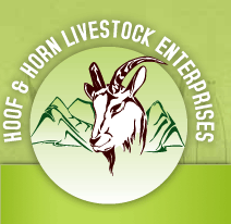 Hoof & Horn - Pack Goats & Equipment